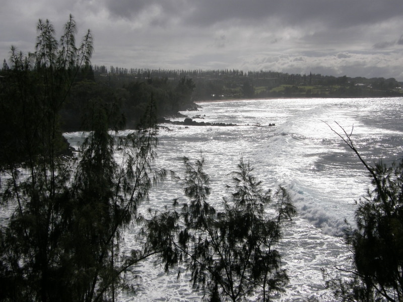 P2141446.jpg