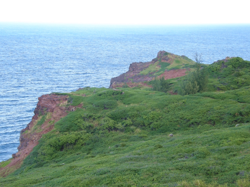 P2141472.jpg