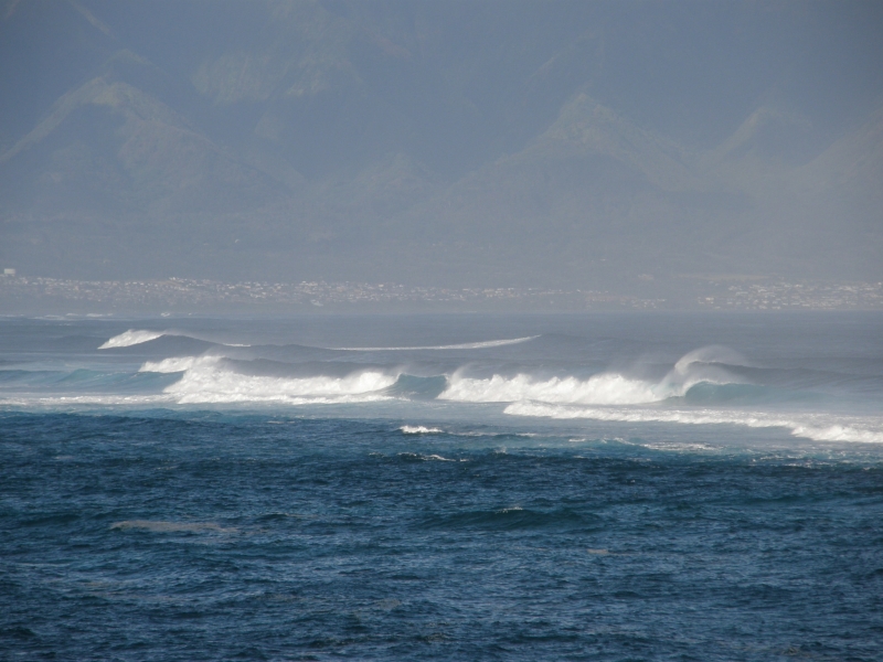 P2141572.jpg
