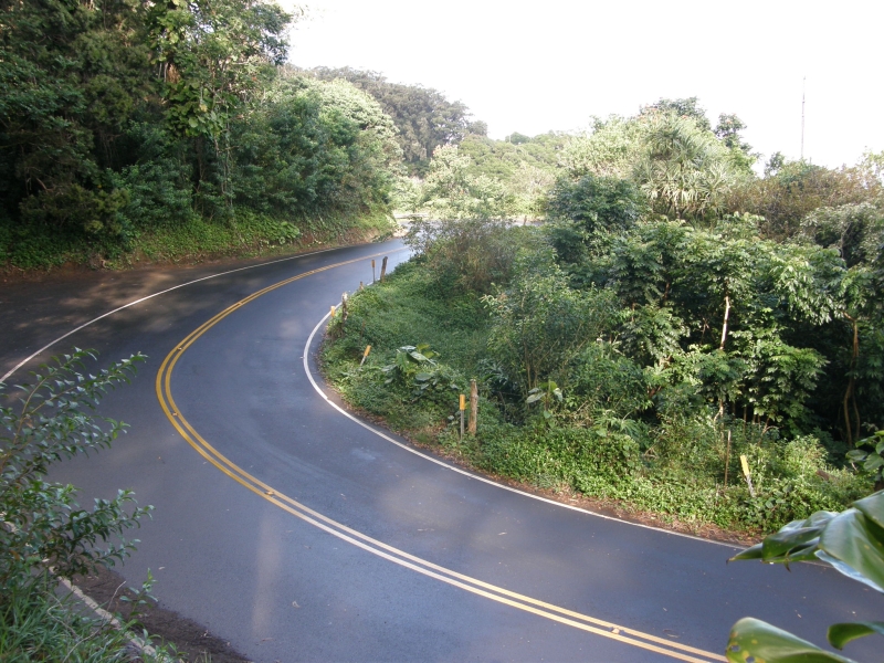 P2141597.jpg