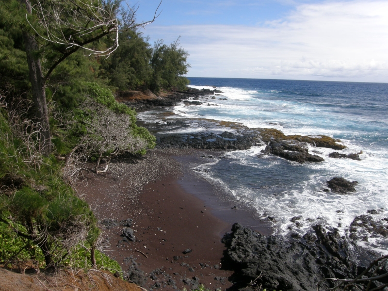 P2151685.jpg