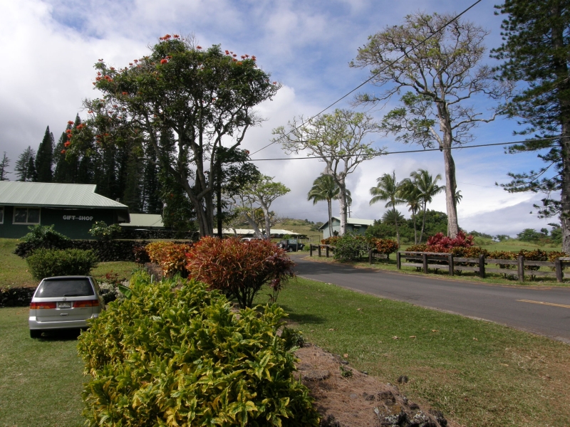 P2151692.jpg