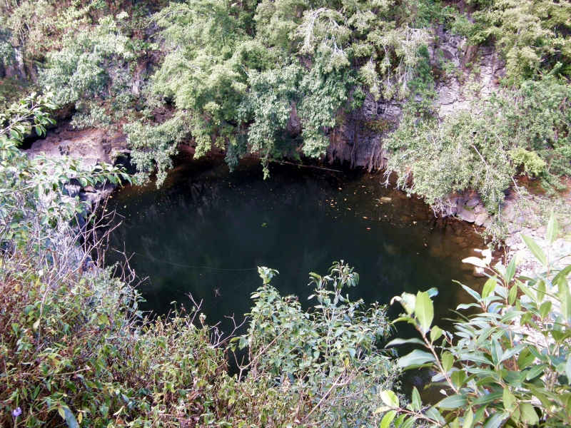 P2151731.jpg
