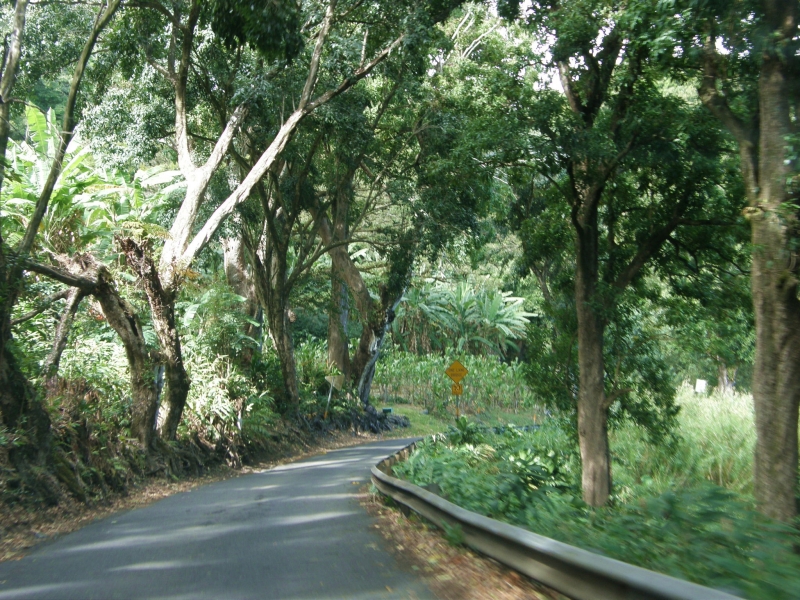 P2151755.jpg