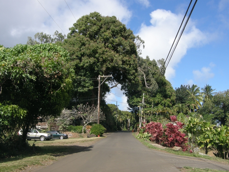 P2151757.jpg