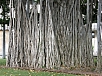 P2070191.jpg