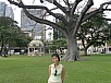 P2070195.jpg
