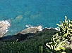 P2070317.jpg