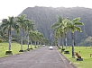 P2080370.jpg