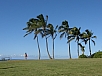 P2090524.jpg