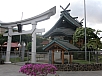 P2090553.jpg