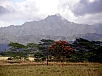 P2090584.jpg
