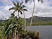 P2090608.jpg