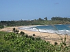 P2100625.jpg