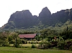 P2100634.jpg