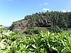 P2100640.jpg