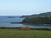 P2100647.jpg