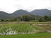 P2100661.jpg