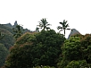 P2100694.jpg