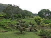 P2100695.jpg