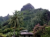 P2100697.jpg