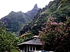 P2100700.jpg