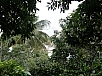 P2100707.jpg