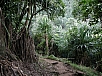 P2100714.jpg