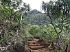 P2100719.jpg