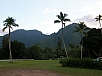 P2100751.jpg