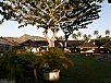 P2100768.jpg