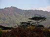 P2100781.jpg
