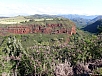 P2100787.jpg