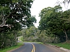 P2100846.jpg
