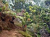 P2110864.jpg