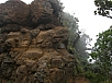 P2110866.jpg