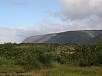 P2110876.jpg