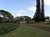 P2111012.jpg
