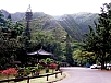 P2121138.jpg