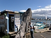 P2131204.jpg