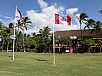 P2131223.jpg
