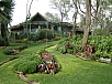 P2131244.jpg