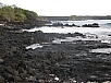P2131276.jpg