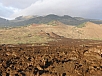 P2131284.jpg