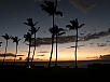 P2131300.jpg