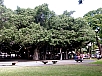 P2131379.jpg