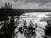 P2141446.jpg