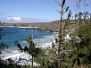 P2141447.jpg
