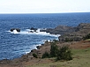 P2141463.jpg