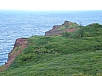P2141472.jpg